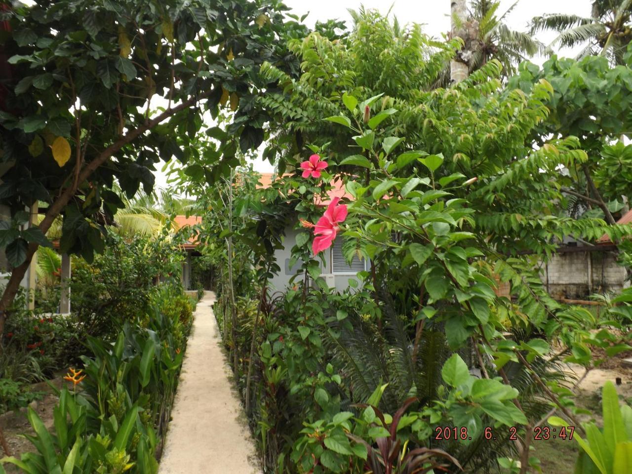 Siargao Residency Apartment Union  Ngoại thất bức ảnh